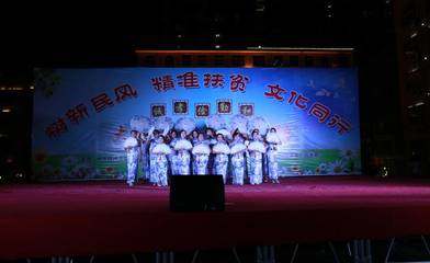 我县举办“树新民风 精准扶贫 文化同行”大型文艺晚会，助推文化惠民与脱贫攻坚深度融合